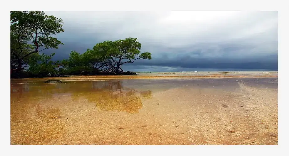 free image stock